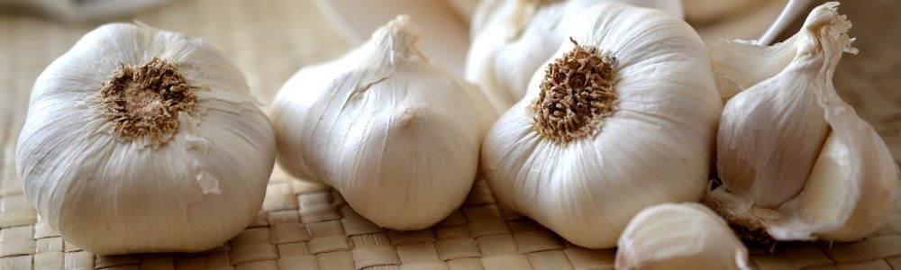 garlic